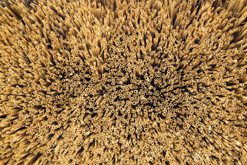 Thatched roof. Texture of straw. Top view.