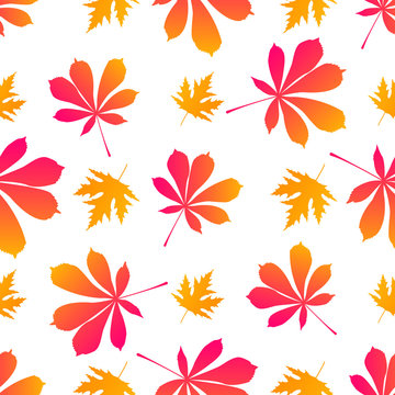 Leaves of maple and chestnut. Autumnal seamless pattern.