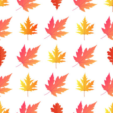 Autumn background. Yellowed maple leaves. Vector illustration.