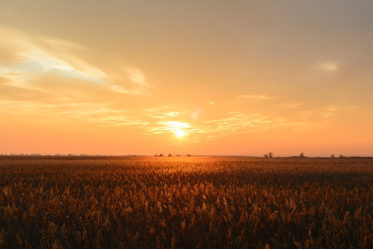 Sunset Field Images Browse 2 330 Stock Photos Vectors And Video Sunset Field Images Browse 2 330 Stock Photos Vectors And Video