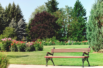 brown bench in foreground, meadow with grass and flowers growing in the garden, in background three girls walk through the park and watch the flowers, a sunny bright day, trees and blue sky are high