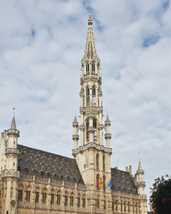 Fototapeta na wymiar Brüssel - Grand Place - Herz und Bühne der Stadt (Blumenteppich 2018) 