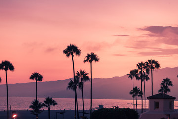 Purple sunset in Santa Monica with silhouettes of palms © nata_rass