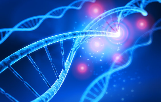 DNA-Strang - Molekül