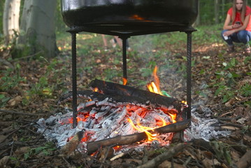 In the black cauldron on the fire prepare porridge
