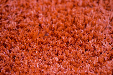 Texture of the herb cover sports field. Used in tennis, golf, baseball, field hockey, football,...