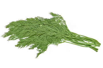 Bunch of dill isolated on white background