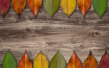 Naklejka na ściany i meble Colorful autumn leaves - wooden background