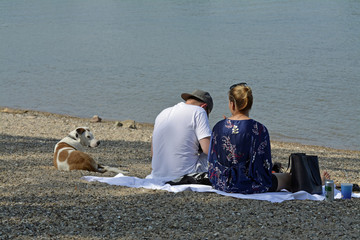 ein junges paar sitzt mit hund am hundestrand bei oppenheim