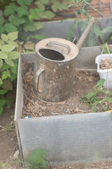 old watering can in a garden