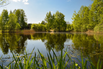 Rustic Pond