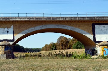 Vegetation under a railway bridge in summer 2018 near Leipzig