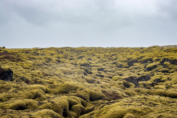 Lava landscape in Iceland