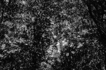 Florales Motiv Hintergrund