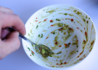 Guacamole bowl empty