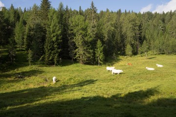 Dolomitas