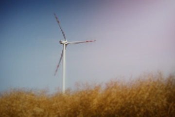 Windturbine at sunny day