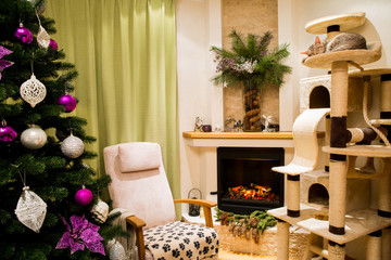 A cozy living room decorated to celebrate Christmas and New Year. Christmas tree with white and violet, purple, pink christmas handmade toys. Sleeping cute cat, ocicat pedigree.