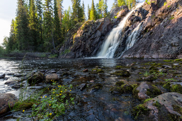 Beautiful waterfall with yellow flowers on foreground, Hepoköngäs, Finland