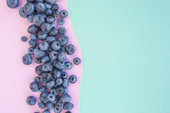 Delicious freshly picked bluberry on blue and pink background with copyspace. Blueberry border design.