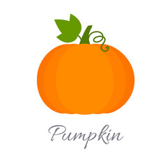 Pumpkin icon with title