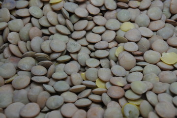 Raw fresh lentils