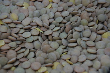 Raw fresh lentils