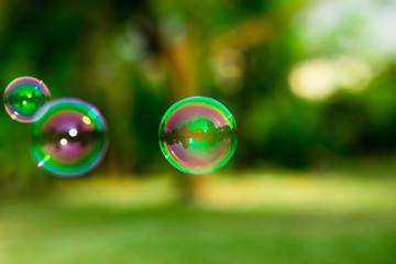 Some soap bubbles on green summer blurred background