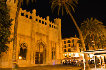 Fototapeta na wymiar Palma de nuit