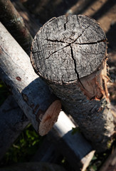 Detail of old a wooden fence with branches