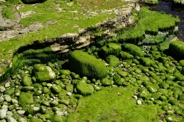 isle of portland