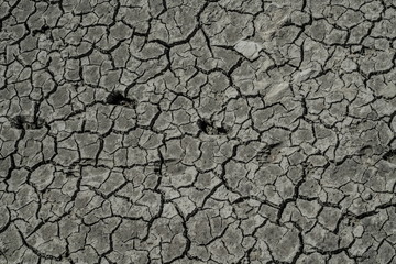 dry, cracked, drought, ground, soil, earth, texture, desert, mud, land, nature, crack, dirt, arid, clay, environment, pattern, brown, abstract, dried, heat, surface, climate, natural, summer