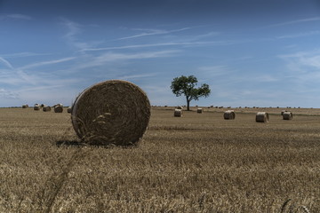 hay, field, agriculture, straw, farm, bale, landscape, harvest, sky, summer, rural, wheat, nature, countryside, meadow, grass, crop, bales, farming, autumn, blue, country, stack, haystack, roll