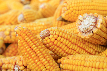 piles of corn bonzi material