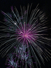 This Tamagawa fireworks display will be held in the riverbed of Tama River which flows between...