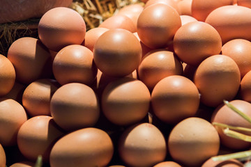 Brown eggs in a supermarket