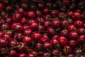 Close up of pile of ripe cherries with stalks and leaves. Large collection of fresh red cherries. Ripe cherries background.