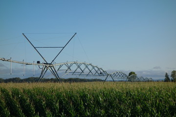 pivot bew&auml;sserung