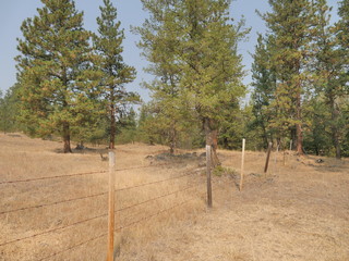 Fence line in dry farmland 