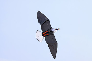 bald eagle modelling kite