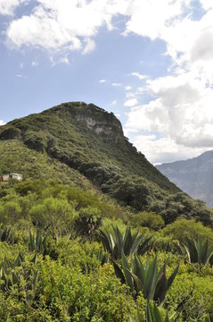 monta&ntilde;as con maguey