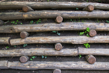 Old wood background 