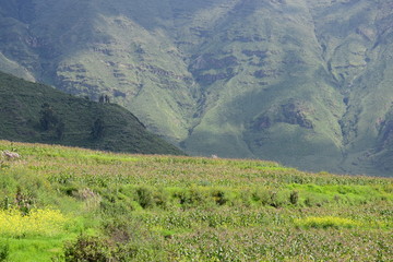 South America Scenery