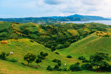 Vayang hills of Basco in the province of Batanes, Philippines