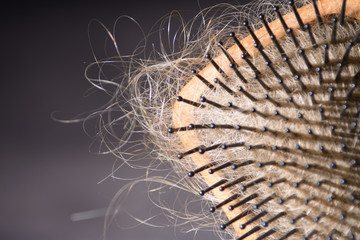 Flock of hair on hairbrush