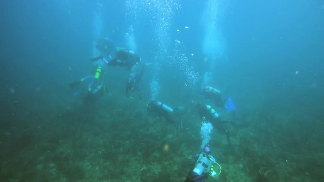 A group of diving students during their first open water dive.
