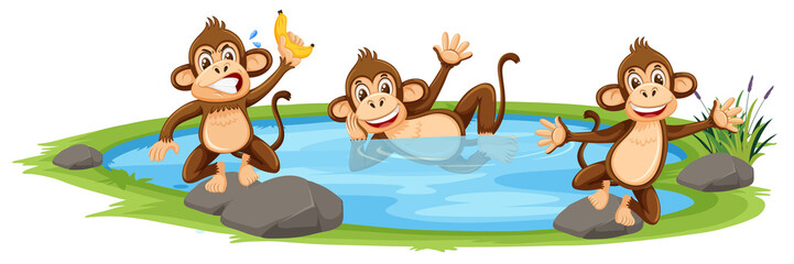 Monkey playing in the water