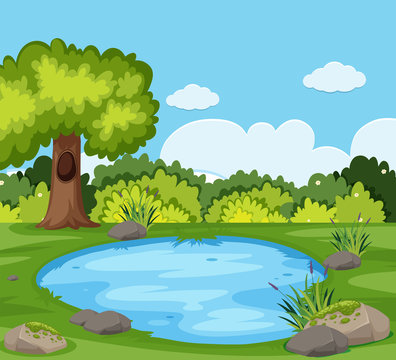 A pond in the nature