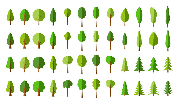 Seamless pattern Green Pine trees 