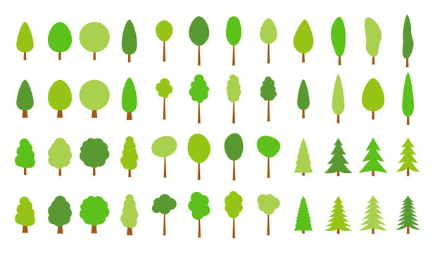 Seamless pattern Green Pine trees 